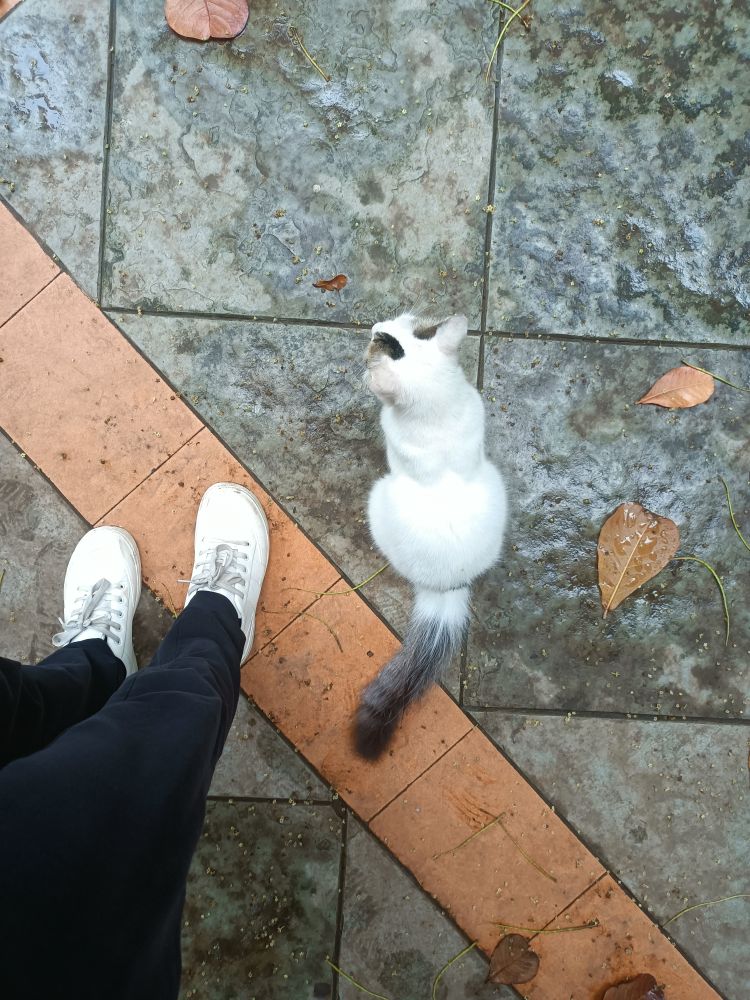 boka with me 😻