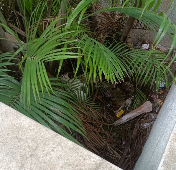 Boka hiding